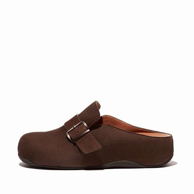 Chodaki Fitflop SHUV Buckle Strap Leather Damskie Brązowe | Polska-78126